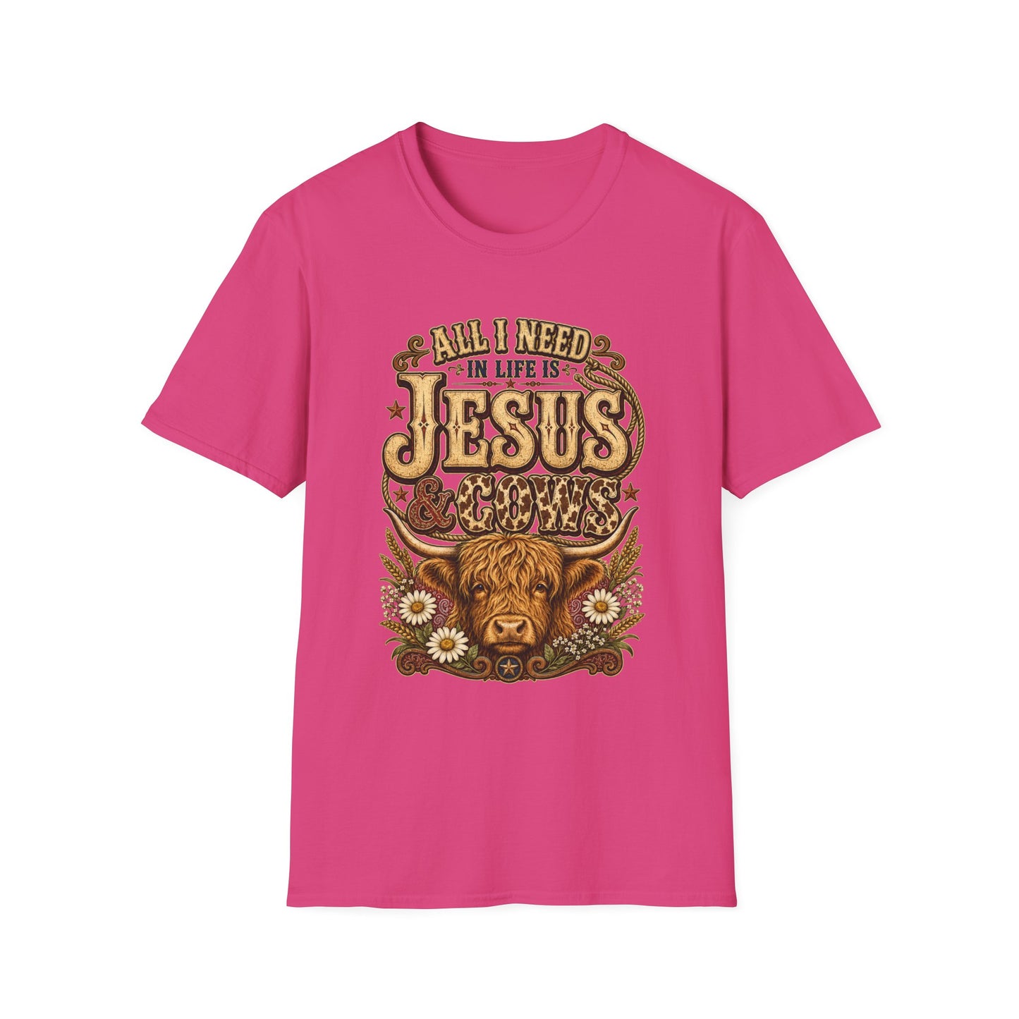 "All I Need in Life Is Jesus" Vintage Western Tee