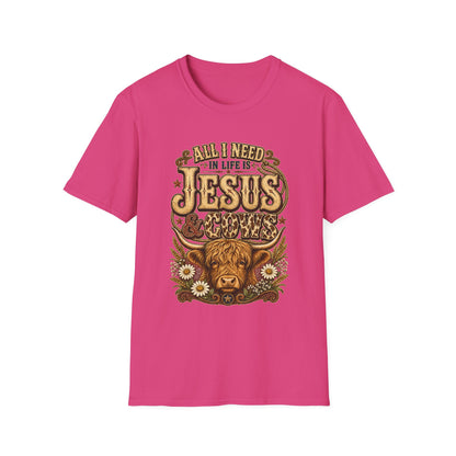 "All I Need in Life Is Jesus" Vintage Western Tee