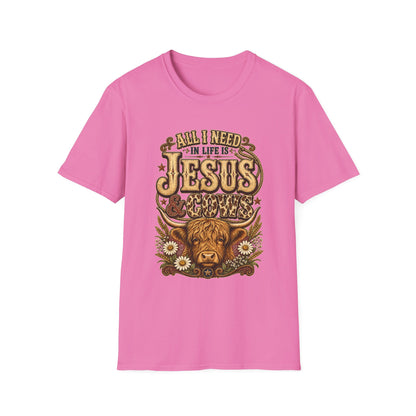 "All I Need in Life Is Jesus" Vintage Western Tee