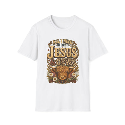 "All I Need in Life Is Jesus" Vintage Western Tee