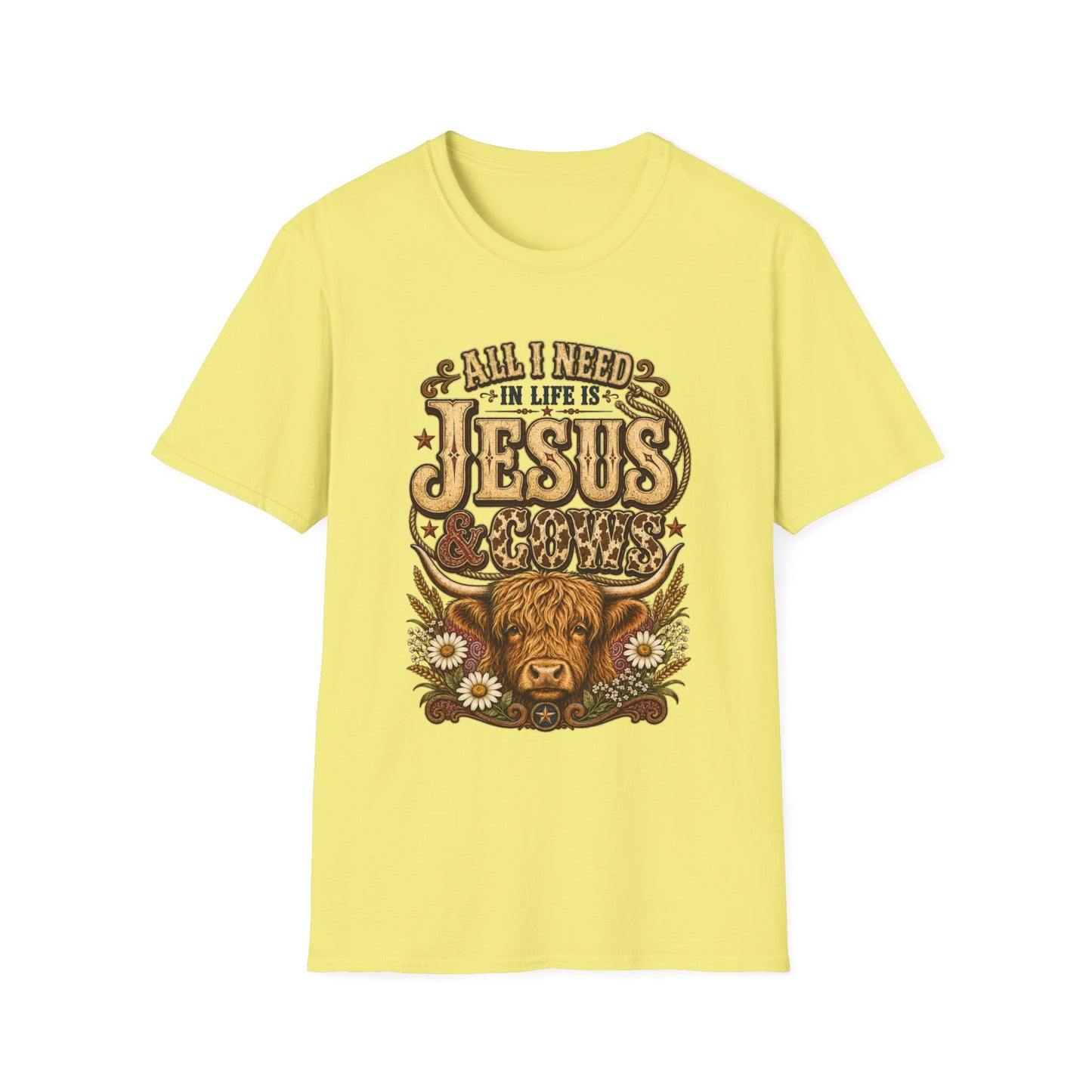 "All I Need in Life Is Jesus" Vintage Western Tee